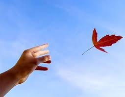 Kết quả hình ảnh cho em đi lấy chồng