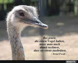 bei jenen die einen vogel haben lustige bilder spruche witze echt lustig ernst ferstl lustig lustige bilder