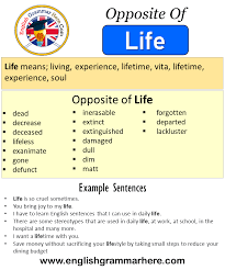 Exercise has also been linked to improved mental health and cognitive function. Opposite Of Life Antonyms Of Life Meaning And Example Sentences English Grammar Here