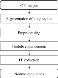 Flow Chart For The Detection Of Lung Nodules From Ct Images