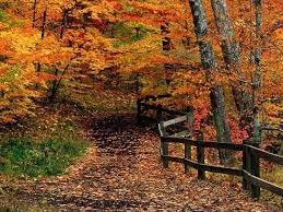We did not find results for: Free Desktop Wallpapers Fall Scenes Wallpaper Cave