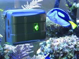 Aquagenesis Robosnail Automatic Aquarium Glass Cleaner 10 Mm Glass Cleaner Aquarium Cleaners