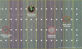 Want to download a brochure? Selective Spraying Servitization Scheper Co Green Eye Technology