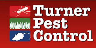 The terminix daytona beach branch is staffed by service professionals who know local pest problems inside and out. 7 Turner Pest Control Jacksonville Fl Office Ideas Pest Control Jacksonville Pests