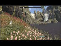 Elder Scrolls Online Farming Alchemy Reagents Solvents Guide Youtube