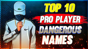 Creates a force field that blocks damages from enemies. Top 10 Free Fire Guild Names Best Unique Guild Name Free Fire Name Change Youtube