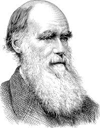 Charles robert darwin frs frgs fls fzs was an english naturalist, geologist and biologist, best known for his contributions to the science o. Charles Darwin Portrat Linie Kunst Kostenlose Vektorgrafik Auf Pixabay