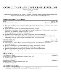 business sales consultant resume