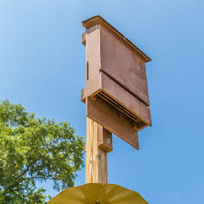 Find houses from a vast selection of weed & pest control. Use Bat Houses For Mosquito Control Mother Earth News