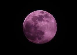 This means that it is a. Super Pink Moon Lights Up The Sky Across The World In Rare Spectacle Linked To End Of Days Omen