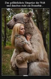 das gefahrlichste saugetier der welt und daneben steht ein funny koala funny pictures funny