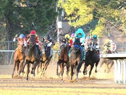 Daniel Eidson Named Santa Anita Park's Racing Director