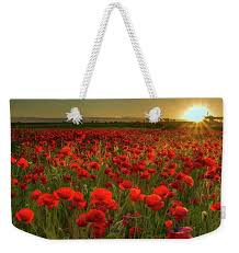 Sunset At Poppy Field Weekender Tote Bag by Danny Birrell Photography