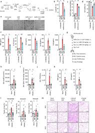 Image result for Mibefradil