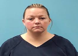 Craig Andrew Ryans Charges: Methamphetamine