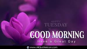We did not find results for: Beautiful Happy Tuesday Good Morning Quotes In English Images Hd Wallpapers Best Life Inspiration Quotes In English Whatsapp Pictures Online Good Morning English Quotes Free Download