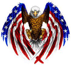 Unfortunately, i've told you all there is. Eagle With American Flag Wings Tattoo Novocom Top
