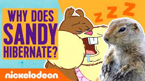 Why Does Sandy Cheeks Hibernate? & More Animal Answers | #Nicksplainer -  YouTube