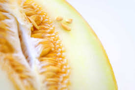 Can I Eat Cantaloupe Rock Melon During Pregnancy Is It Safe Pregnancy Food Checker