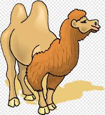 Browse this featured selection from the web for use in websites, blogs, social media and your other products. Camel Vector Bactrian Camel Clipart Png Download 526x578 10838245 Png Image Pngjoy