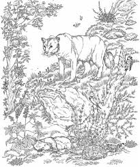 Coloring page lion coloring realistic frog sheet simba. The We Heart P 22 Book