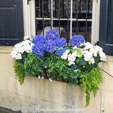 4.5 out of 5 stars. Window Box Flower Combinations Flower Box Ideas Inspired By Charleston Window Boxes Gardening From House To Home