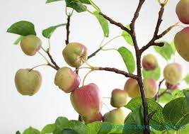 Check spelling or type a new query. 1 Pcs 100 Cm Beautiful Artificial Plastic Apple Tree Branch Home Decoration F434 Tree Branch Branche Decorationartificial Decor Aliexpress