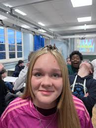 Klassenlehrer 2024/2025