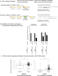 The caregiver takes good care of my mom. Aberrant Expression Of Cpsf1 Promotes Head And Neck Squamous Cell Carcinoma Via Regulating Alternative Splicing