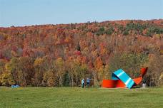 Leave the Leaves: Forests and Meadows of Cold Hollow