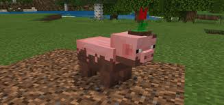 1 obtaining 2 behavior 3 data values 3.1 id . Muddy Pig Resource Pack Minecraft Pe Texture Packs