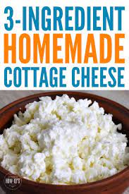 Homemade Cottage Cheese Recipe Recipe Homemade Cottage Cheese Cottage Cheese Recipes Cheese Recipes Homemade