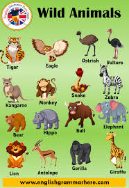 English Grammar Panosundaki Pin