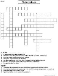 Maybe you would like to learn more about one of these? Photosynthesis Crossword Puzzle Teaching Resources