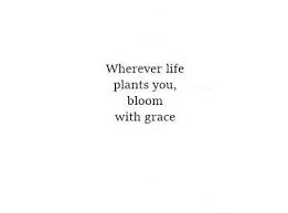 Wherever Life Plants You Bloom With Grace Inspirerende Citaten Diepgaande Citaten Motiverende Citaten