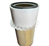 MANN FILTER C21431 Filter Replacement