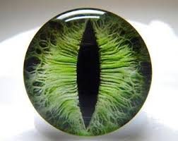 Perles oeil de tigre ronde facette arc en ciel 6mm. Des Yeux De Verre Yeux Jaunes Iris Jaune Yeux De Chat Oeil Etsy In 2020 Reptile Eye Taxidermy Eyes Realistic Eye