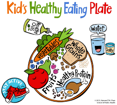 The Kid S Healthy Eating Plate Is A Visual Guide To Help Educate And Encourage Children To Eat Well And Keep M Healthy Eating Plate Healthy Kids Kids Nutrition