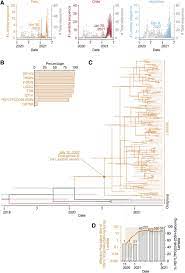 The lambda variant which was first identified in peru last year has now made its way to over 25 south america was the first to witness cases of the lambda variant, within no time, it worked its way. Xqmmb4hkwesr6m