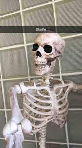 My Dad Simultaneously Discovered Snapchat And Started Decorating For Halloween This Is The Result Odd Stuff Magazine Snapchat Funny Halloween Memes Funny Skeleton