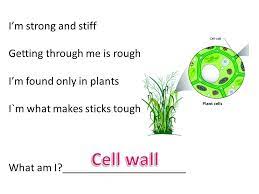 Do you have stiff, inflamed joints? Cell Organelle Riddles Ppt Video Online Download