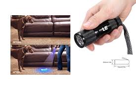 The 10 Best Uv Light Urine Detector For Dogs Of 2020 Review Best Pet Pro