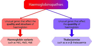 Understanding Haemoglobinopathies Gov Uk