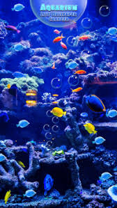 aquarium live wallpaper changer for pc