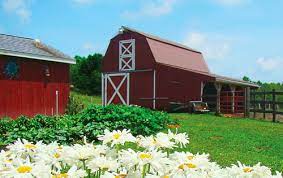 Family farm & garden address and contact address: Home Family Farm Garden Cattle Supplies Feed Store Farm Ranch Supplies Pet Food Equine Pet Supplies Wildlife Wil Family Farm Garden