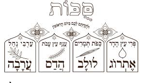 Kids are not exactly the same on the. Sukkot Archives Haleluya Sacred Soul Art Zebratoys Downloads
