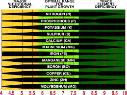 What Is Soil Ph And Why Does It Matter Soil Ph