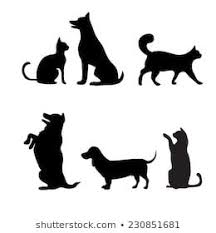 Cat Silhouette Gorseller Stok Fotograflar Ve Vektorler Shutterstock Sevimli Kopekler Kopek Silhouette