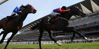 Image result for a welcoming horse