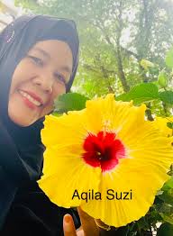 Colorful flowers in my yard, especially hibiscus varieties?